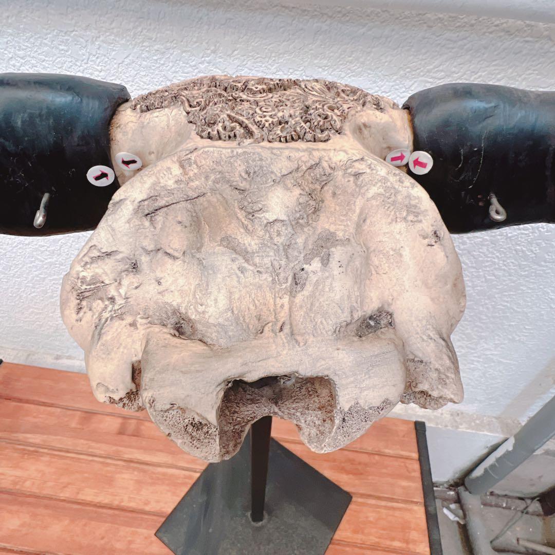 バッファロースカル　牛頭蓋骨　壁掛け彫像