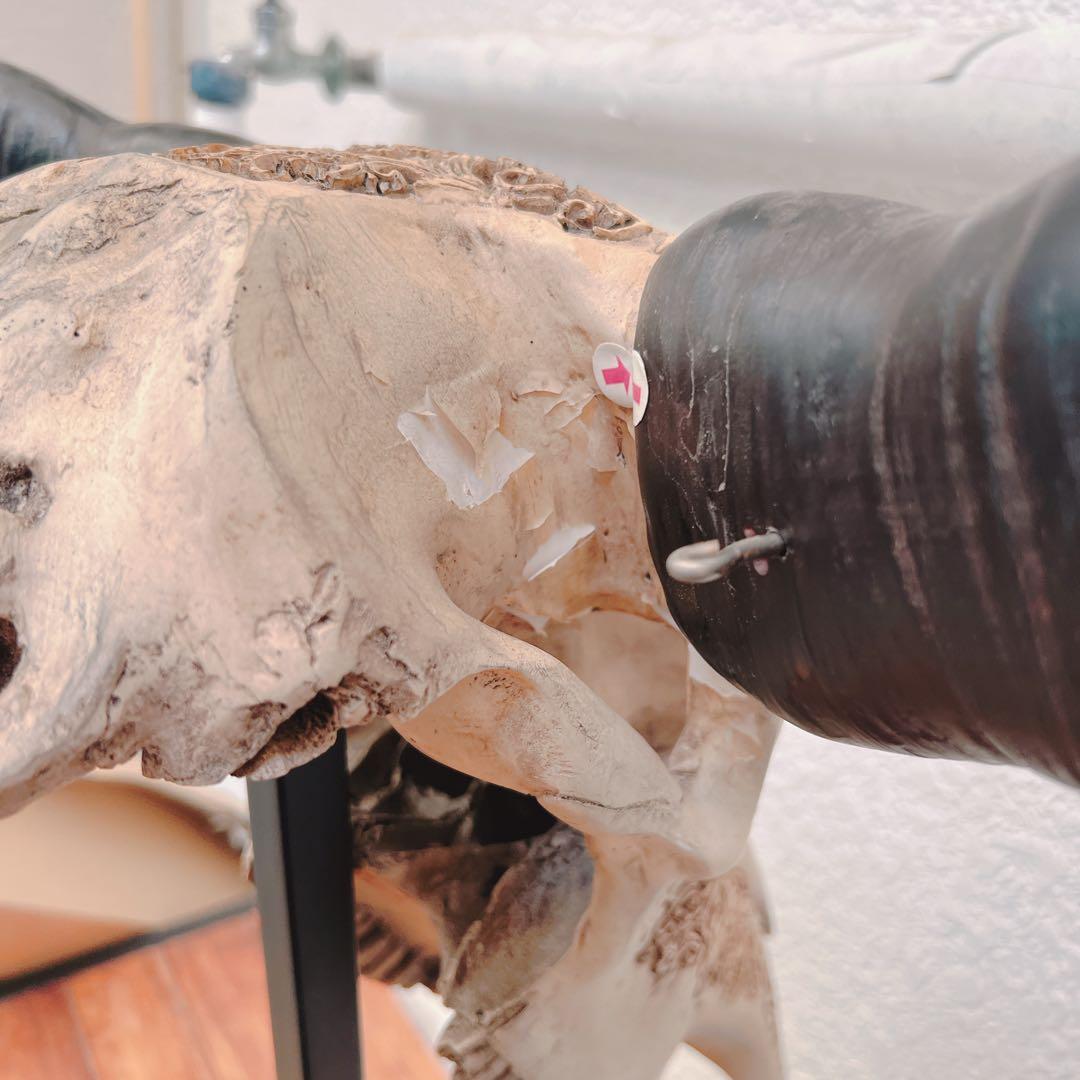 バッファロースカル　牛頭蓋骨　壁掛け彫像