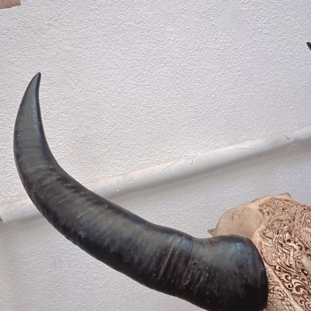 バッファロースカル　牛頭蓋骨　壁掛け彫像