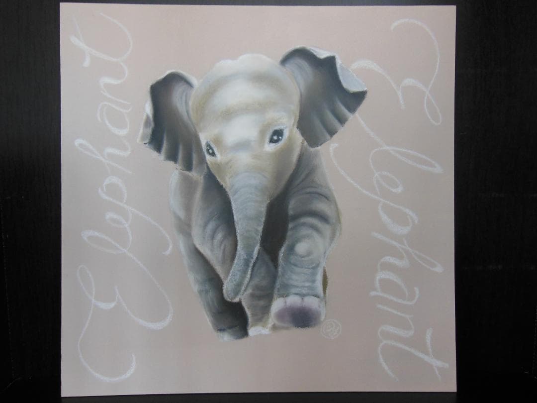 チョークアート（小象）　010