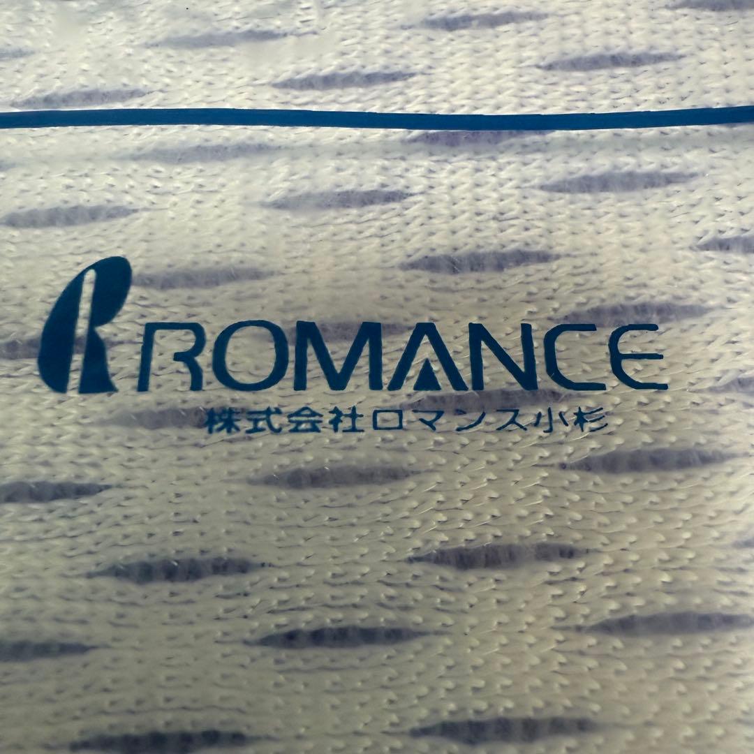 訳アリ‼️ アイス眠EX 敷きパッド　ダブル