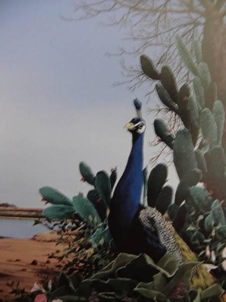 北 久美子、遠き旅空青い空、希少な額装用画集より、美品、新品額装付