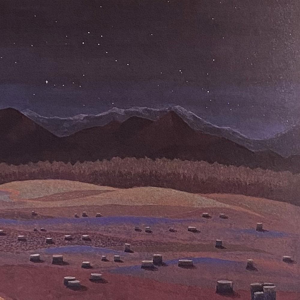 三谷青子、【狼】、希少な額装用画集より、新品額装付、状態良好