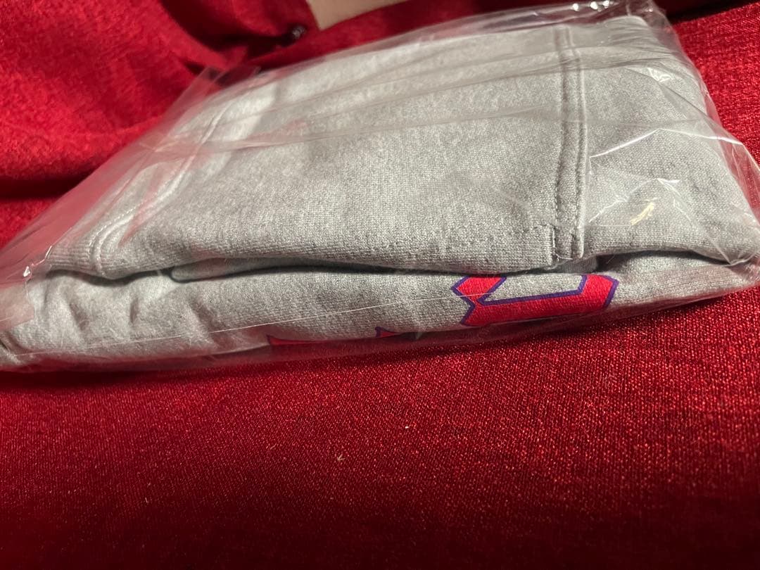 大カイジ展　沼プルオーバーパーカー　ミックスグレー　Mサイズ【新品未開封品】