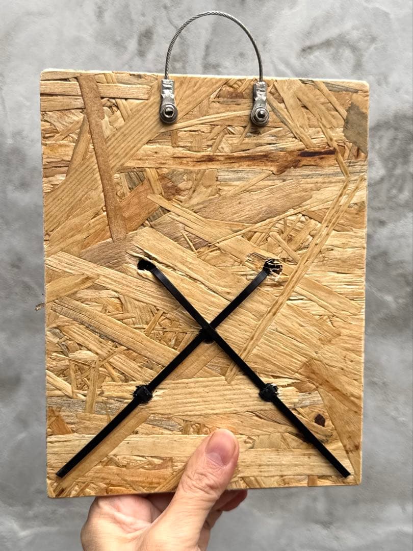 【ビカクシダ・マダガスカリエンセ】