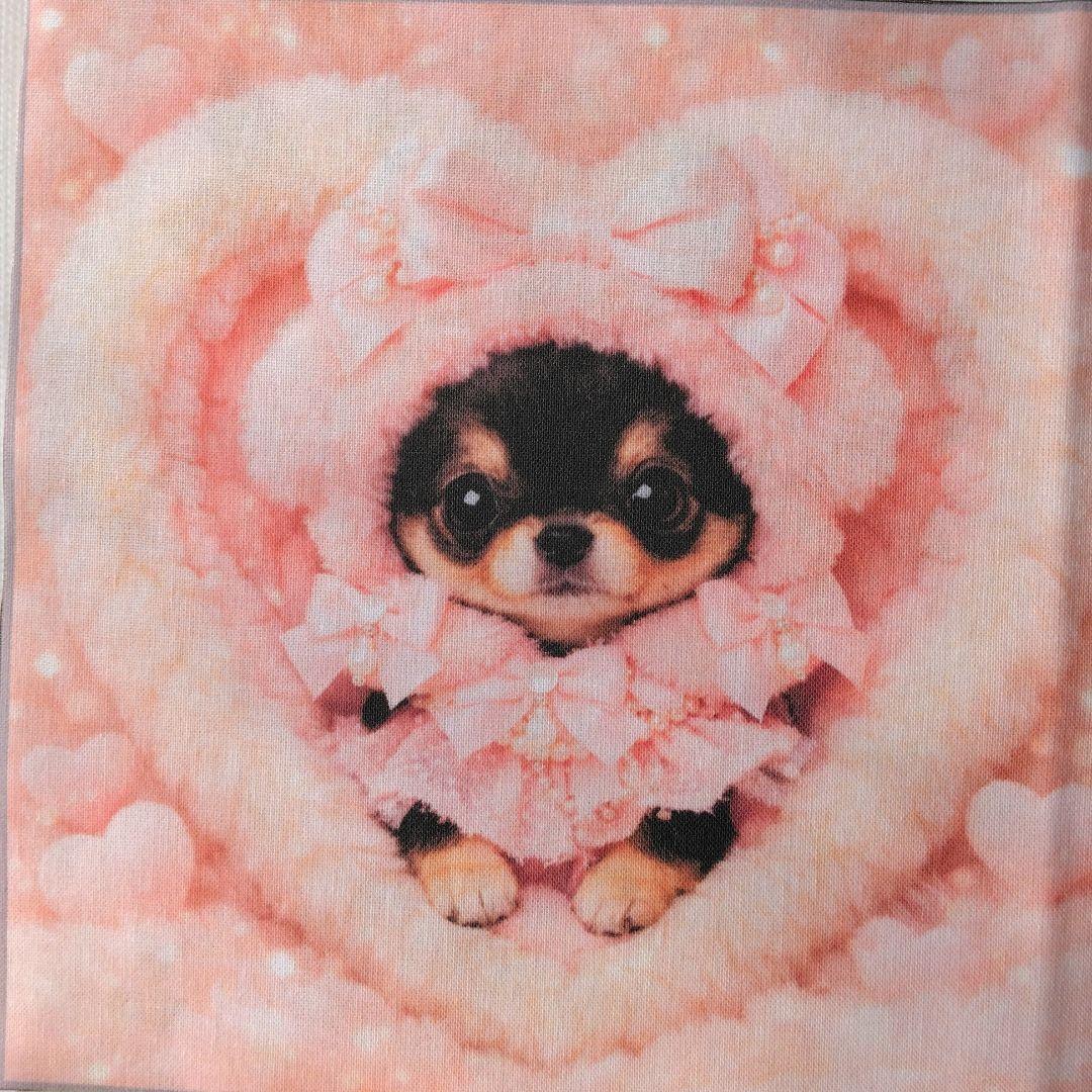 ☆受付☆チワワ