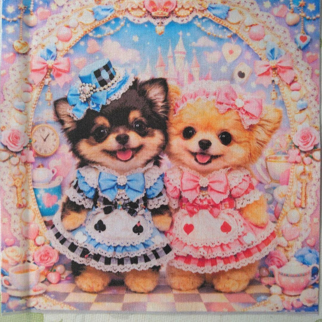 ☆受付☆チワワ