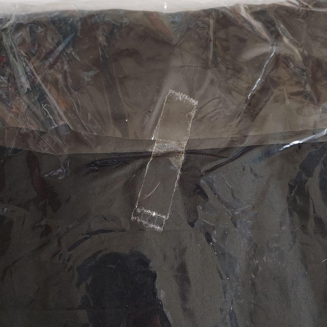 BiSH Tシャツ　XL VANQUISH コラボTシャツ バンキッシュ