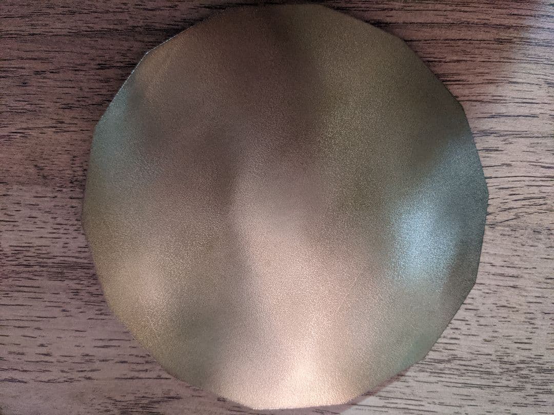 テスラ オイスタープレート 大 正規品 ミヌーシュ購入