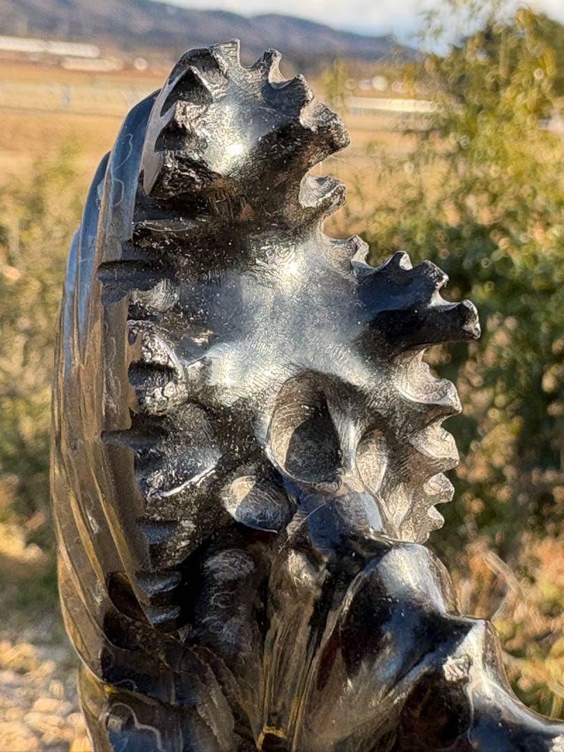 ❗️ ✳厳選　超レア　❤️大きめ　極美品アンモナイト　収蔵品　天然原石　化石 水晶