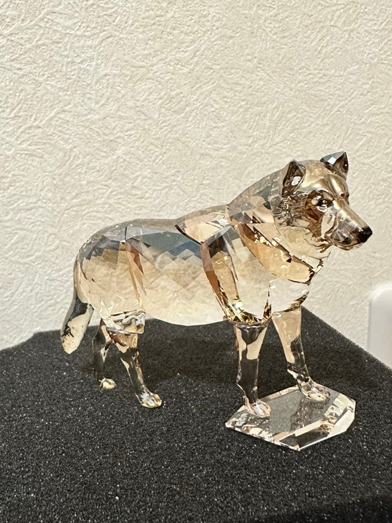 Swarovski 2019年度 SCS限定品 ハイイロオオカミ 5428544