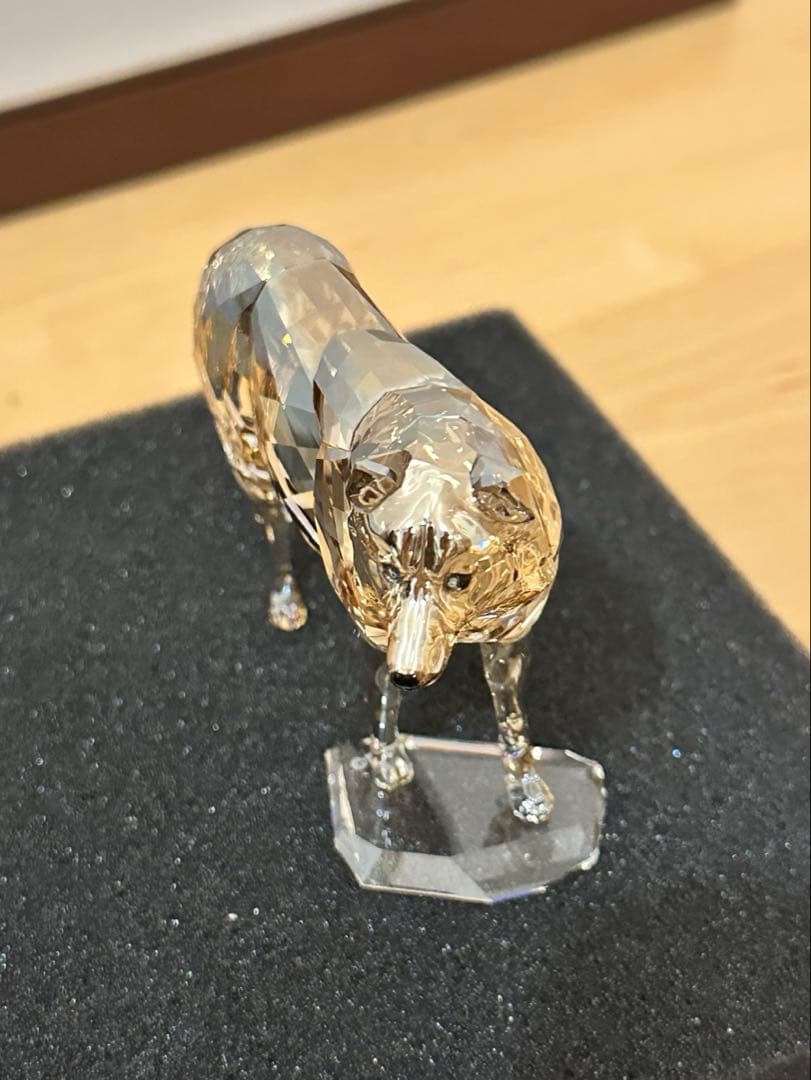 Swarovski 2019年度 SCS限定品 ハイイロオオカミ 5428544