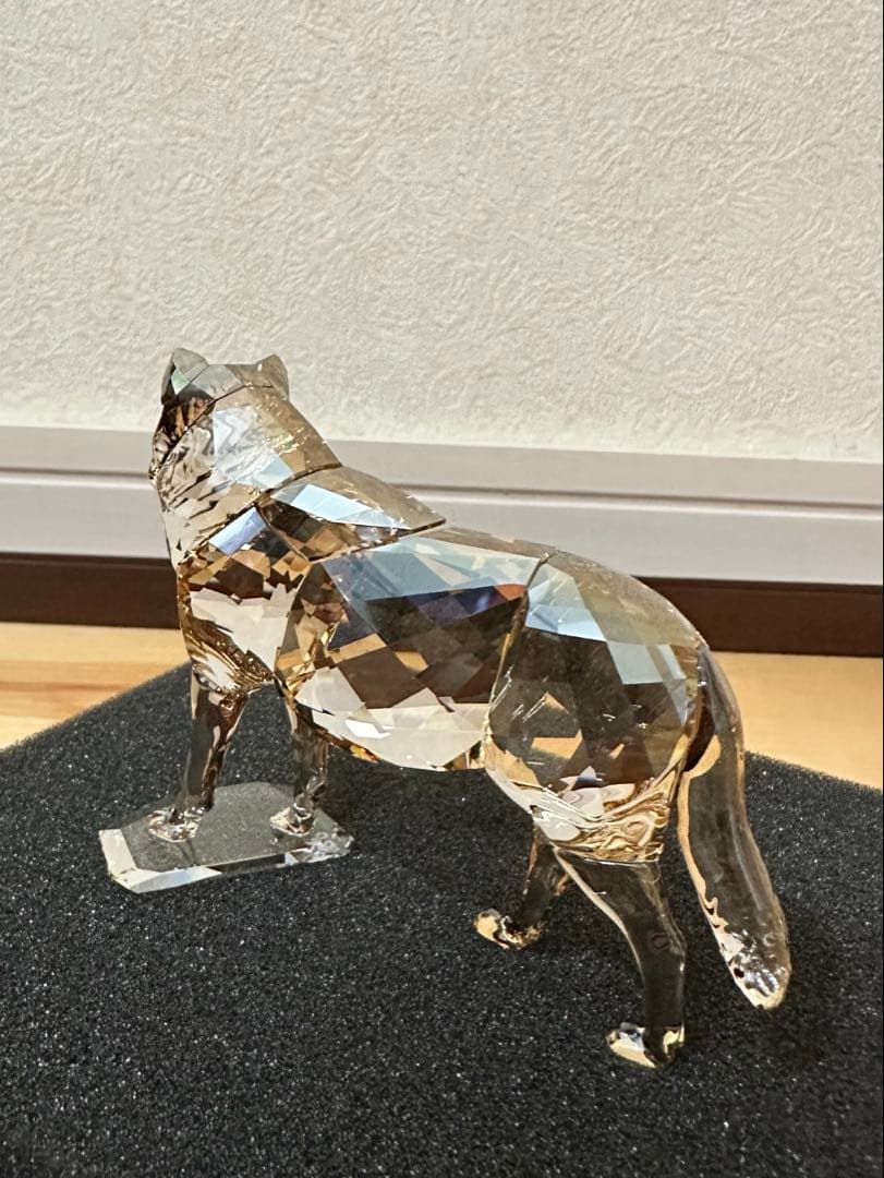 Swarovski 2019年度 SCS限定品 ハイイロオオカミ 5428544