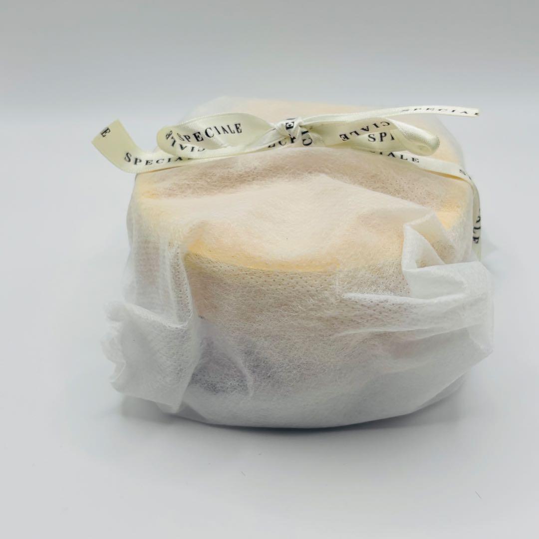 【未使用】NOEVIR ノエビア スペチアーレ 薬用パウダーセラム 23g