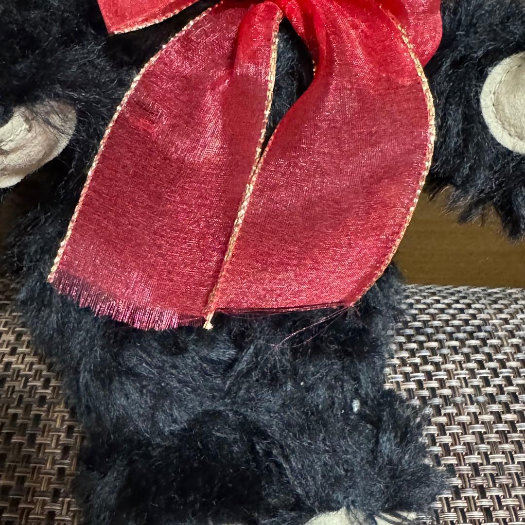 メリーソート チーキー／Cheeky BRIGHTEYES