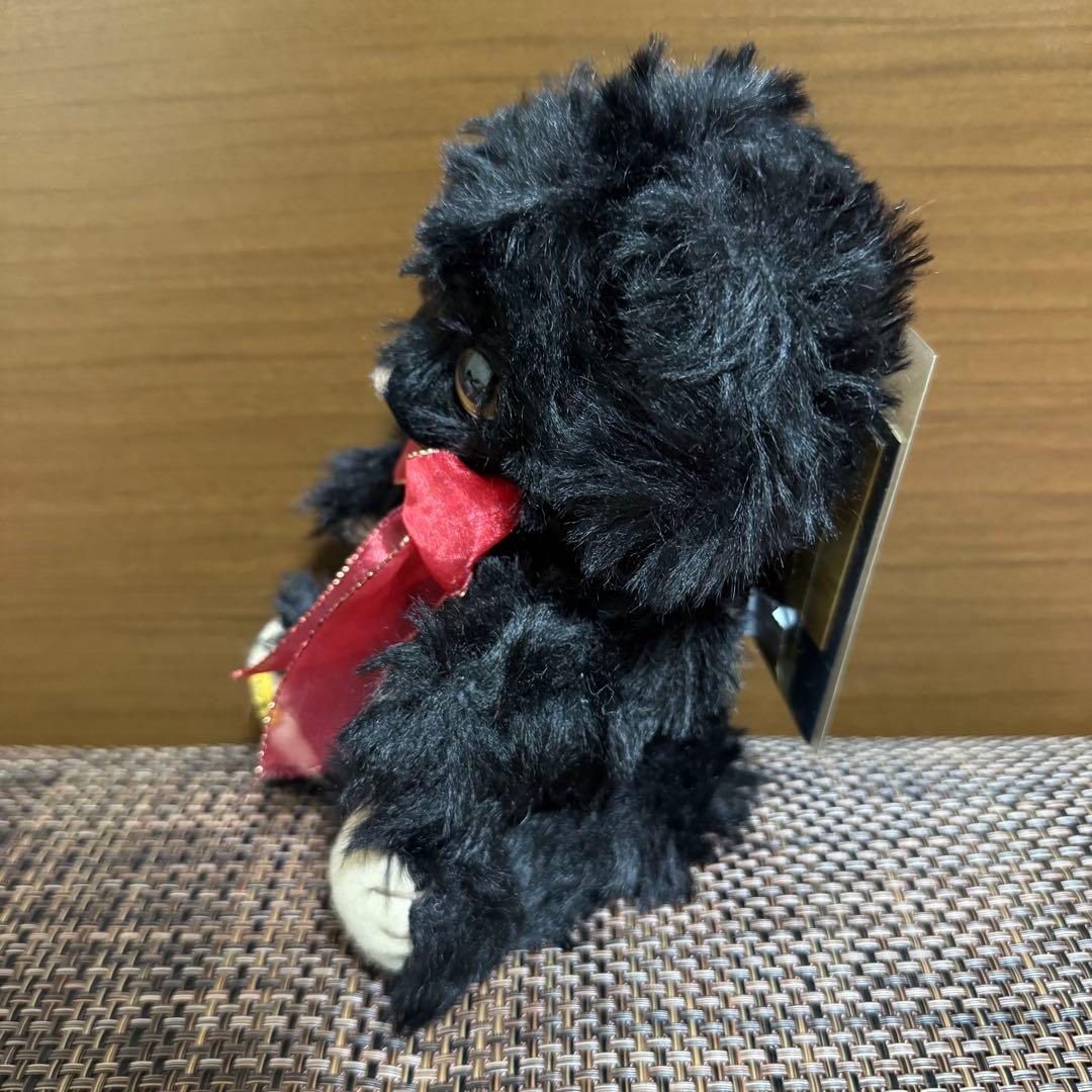 メリーソート チーキー／Cheeky BRIGHTEYES