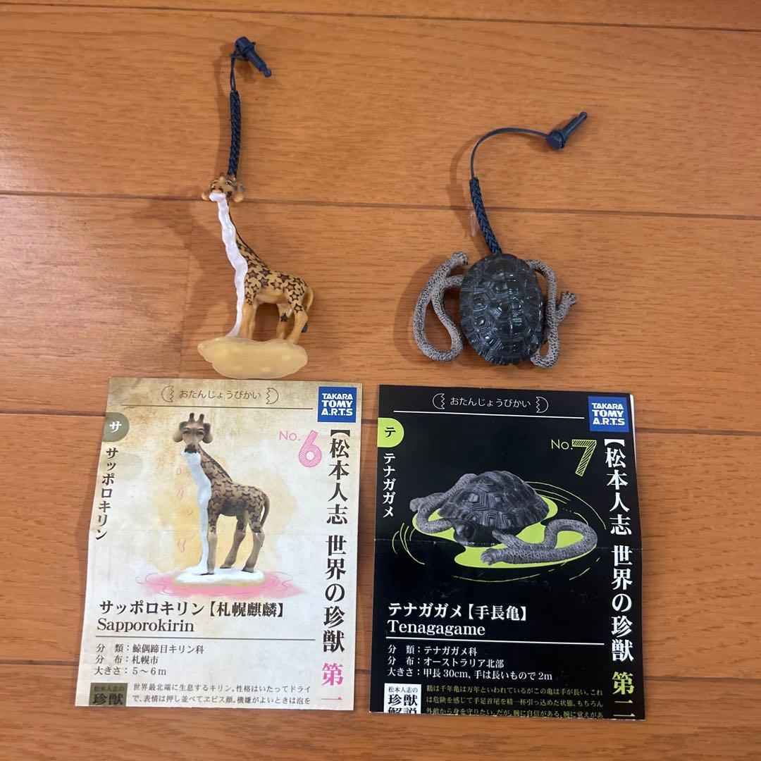 松本人志 世界の珍獣 2種2体セット！！ - メルカリ