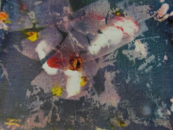 崔和傳、AGUR 6、希少画集画、新品額装付、状態良好