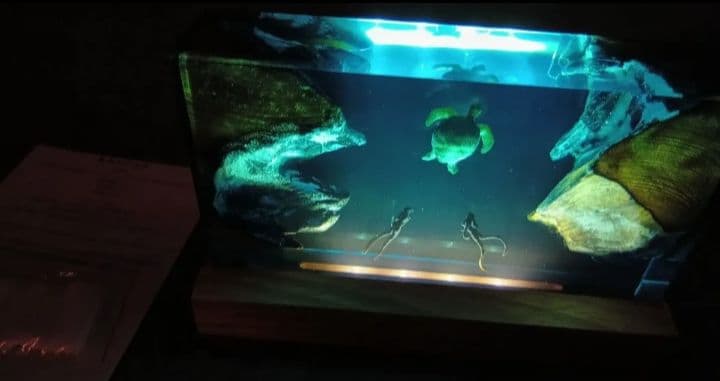 新品 レジンアート ナイトライト 海洋生物 ウミガメダイバー USB給電 ランプ