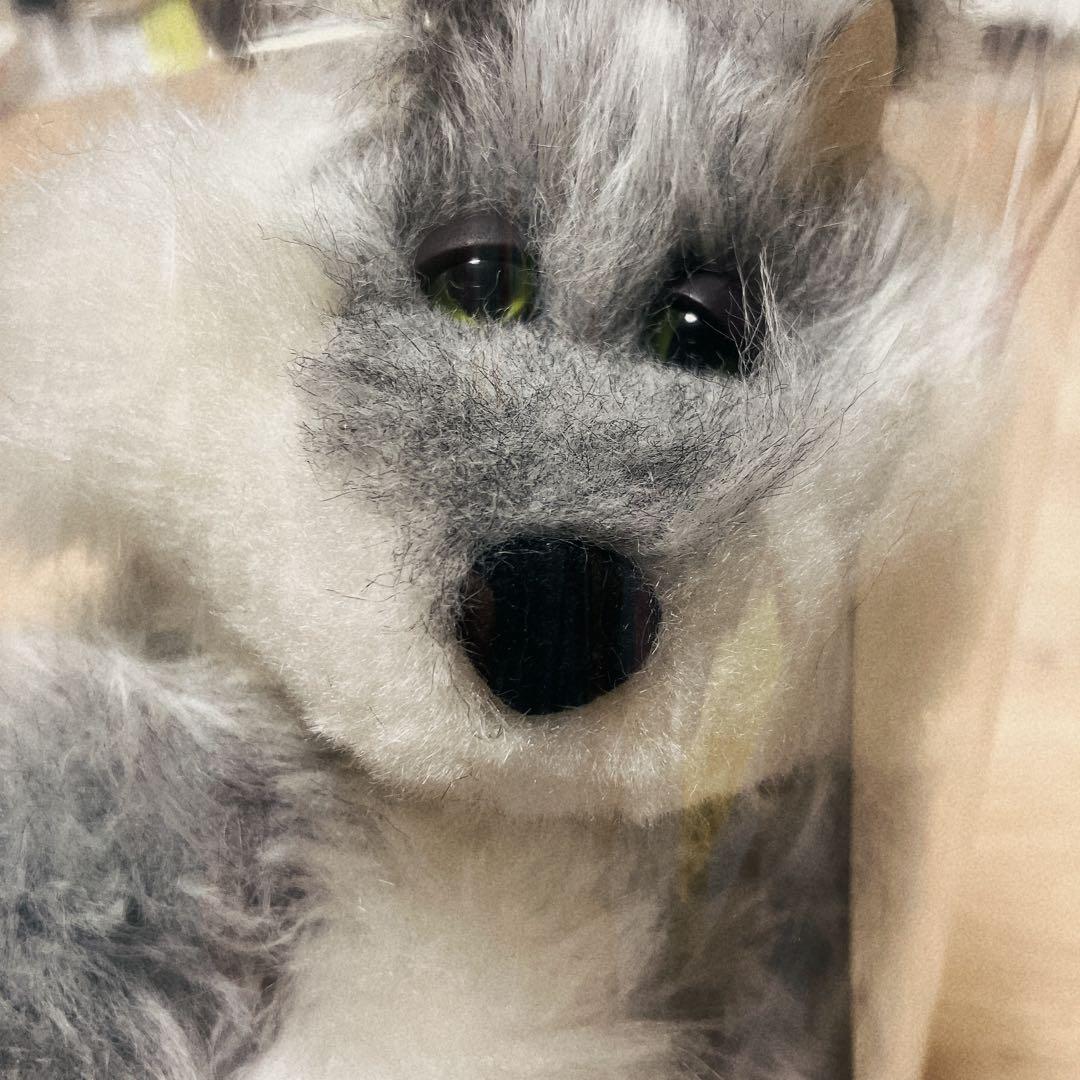 mojojojo Teddy-JOJO ぬいぐるみ　ウルフ　オオカミ