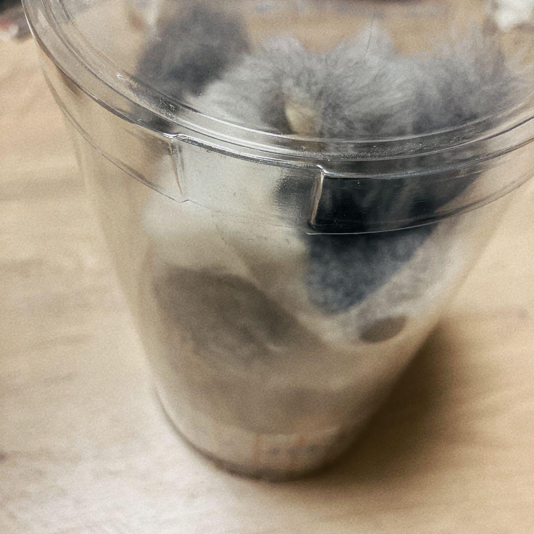 mojojojo Teddy-JOJO ぬいぐるみ　ウルフ　オオカミ