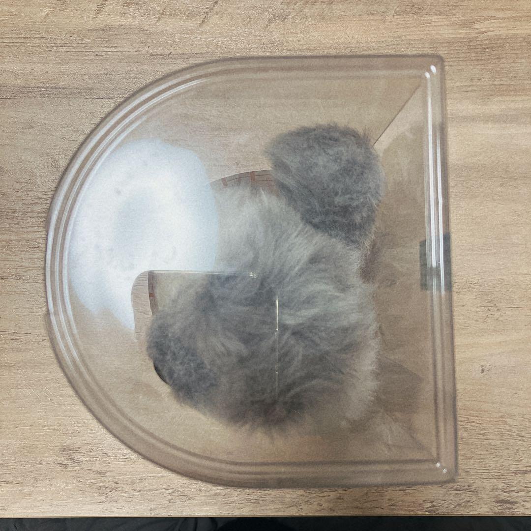 mojojojo Teddy-JOJO ぬいぐるみ　ウルフ　オオカミ