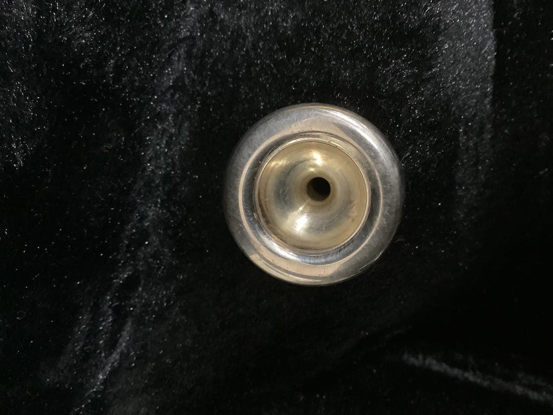 SELECTION トランペット ハードケース付き