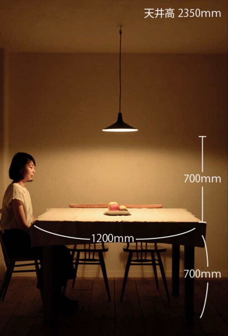 flame ペンダントライト flare black