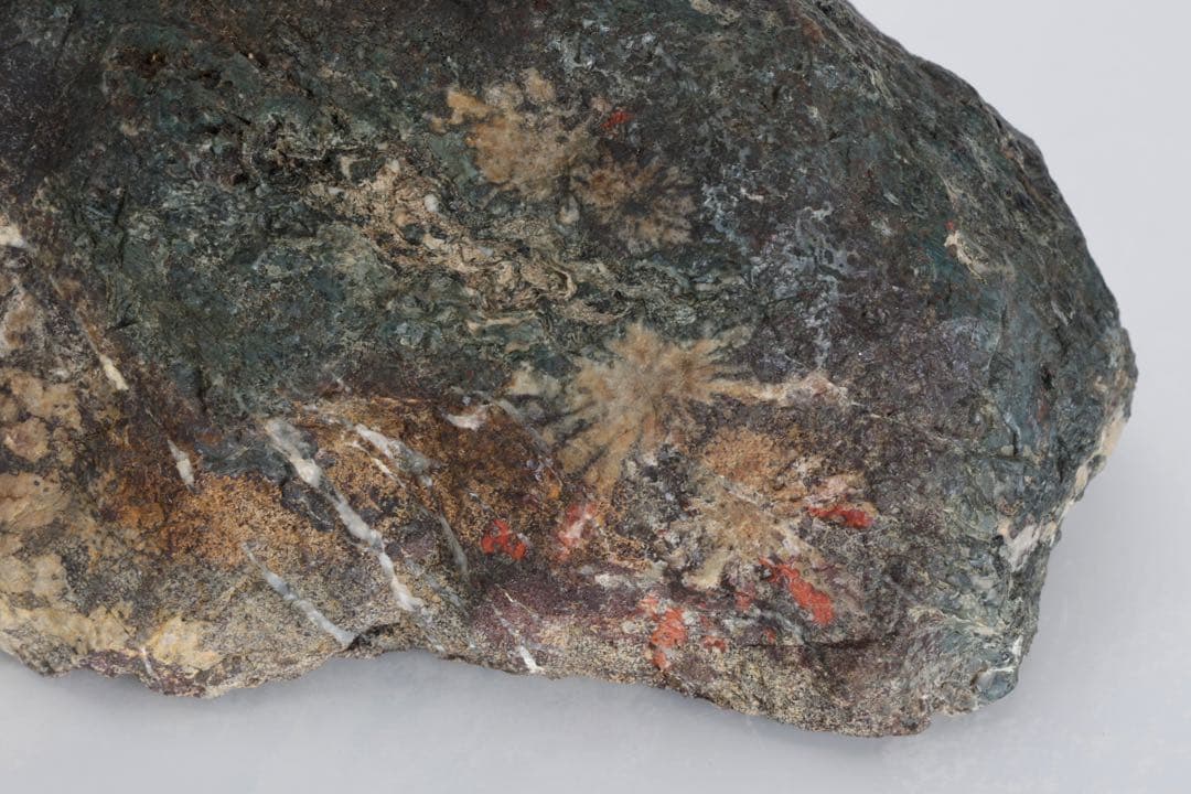 菊花石 花紋石 4.5kg 鑑賞石 原石 自然石 水石 盆石 景石 紋石 美石