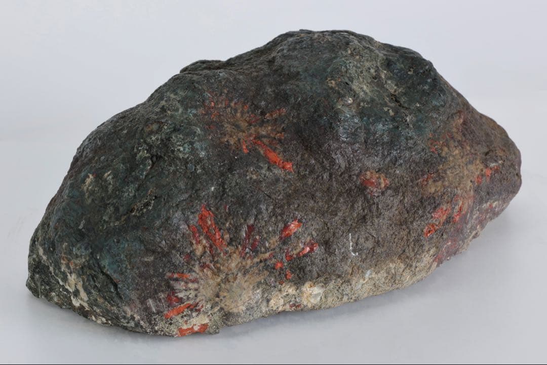 菊花石 花紋石 4.5kg 鑑賞石 原石 自然石 水石 盆石 景石 紋石 美石