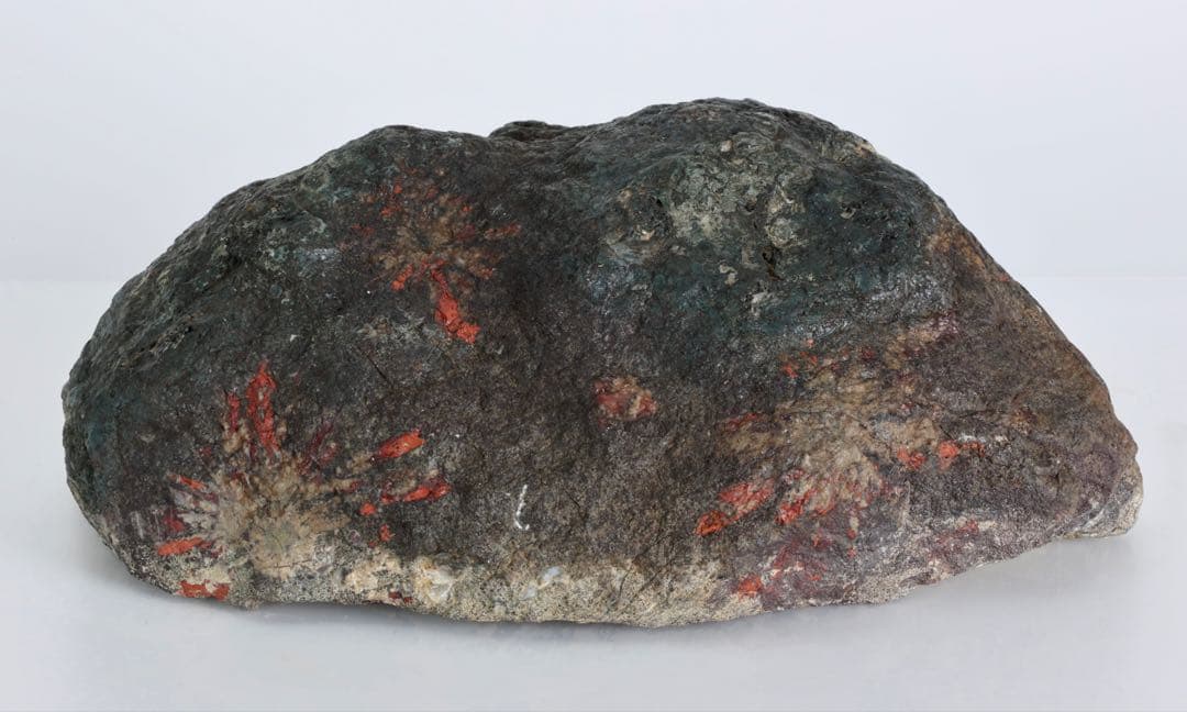 菊花石 花紋石 4.5kg 鑑賞石 原石 自然石 水石 盆石 景石 紋石 美石