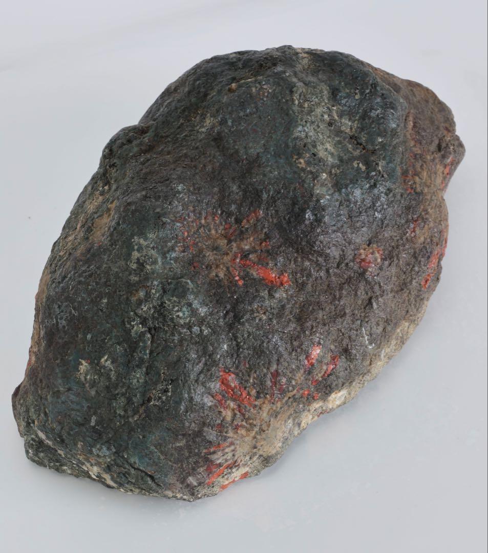 菊花石 花紋石 4.5kg 鑑賞石 原石 自然石 水石 盆石 景石 紋石 美石