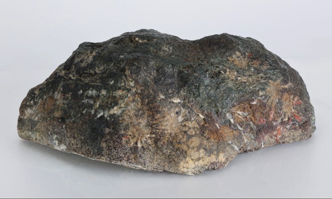 菊花石 花紋石 4.5kg 鑑賞石 原石 自然石 水石 盆石 景石 紋石 美石