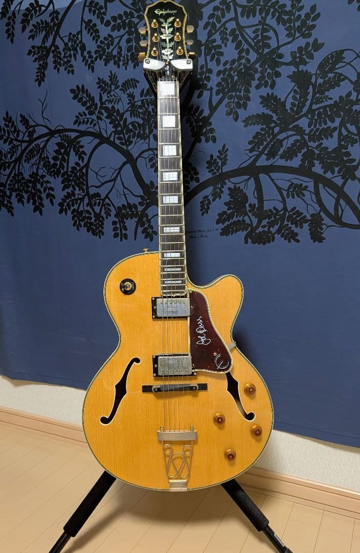 フェルナンデスLG550(ギター、アンプセット)