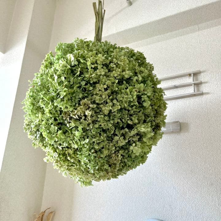 アナベル紫陽花フライングボールリース