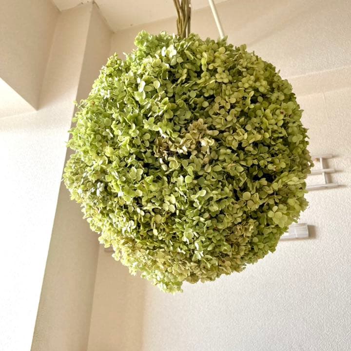 アナベル紫陽花フライングボールリース