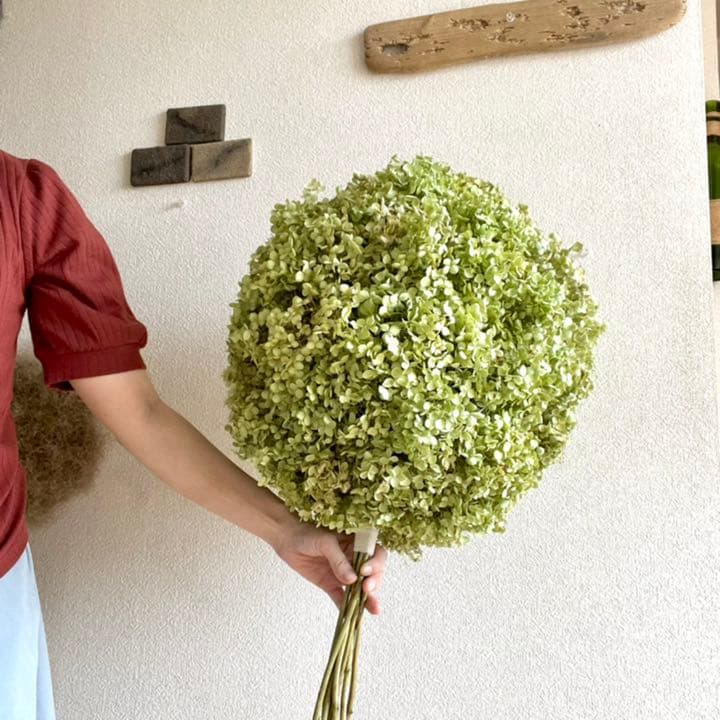 アナベル紫陽花フライングボールリース