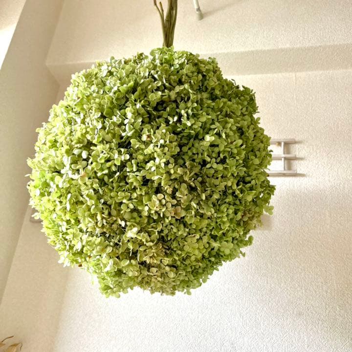 アナベル紫陽花フライングボールリース