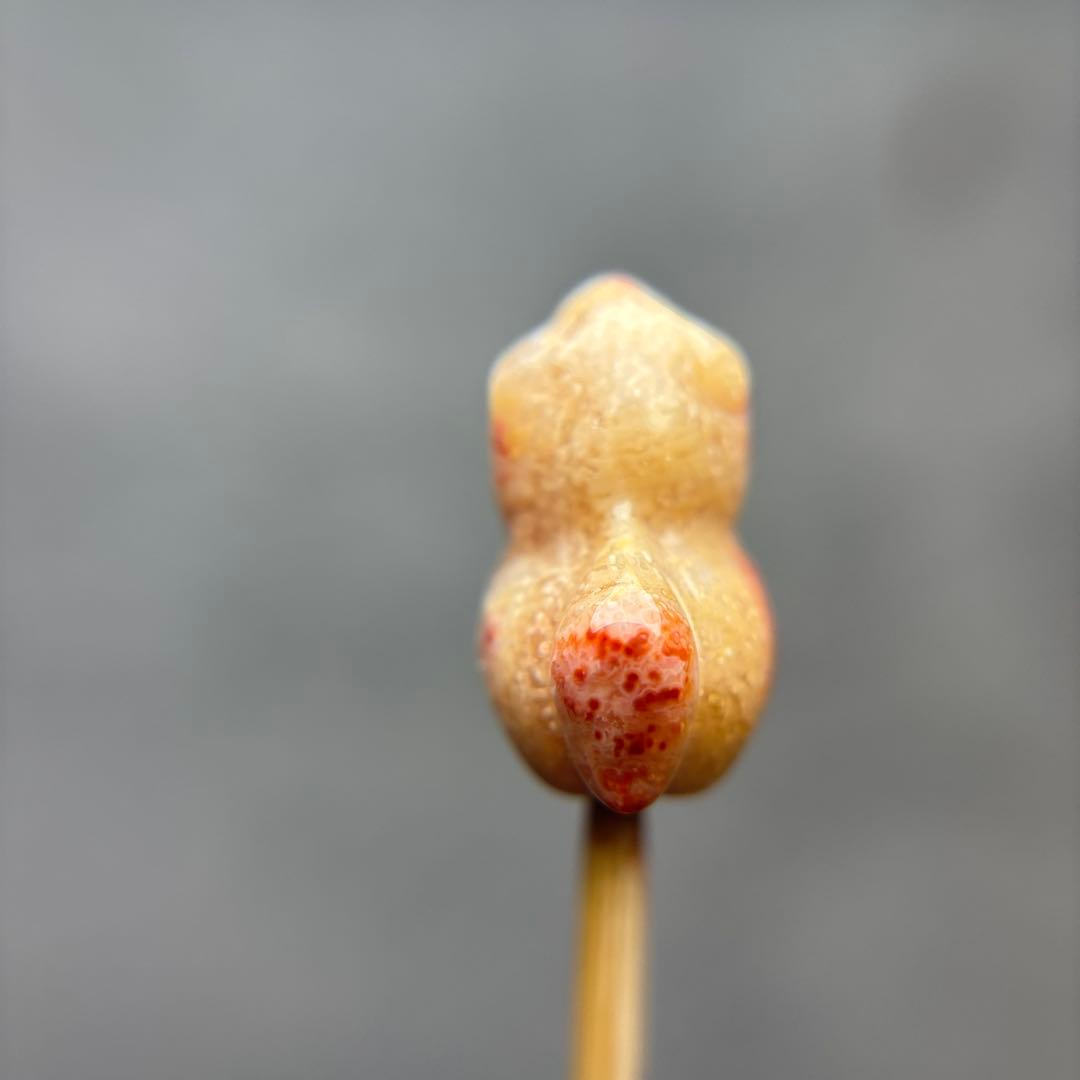 あずきちゃんフォッシルコーラル　馬パーツ　1-143