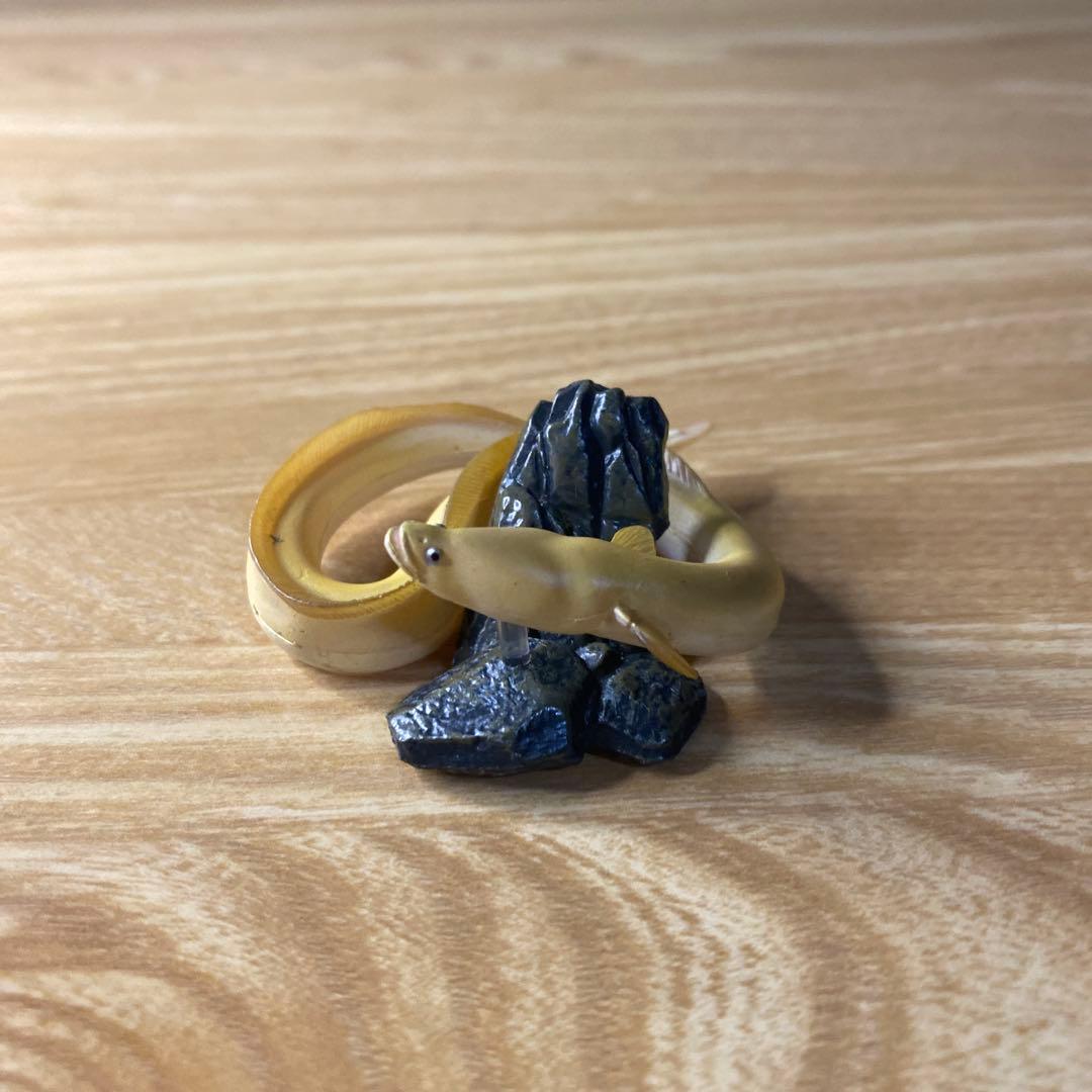 【中古】YUJIN 原色淡水魚図鑑　イワナ ウナギ　大正三色