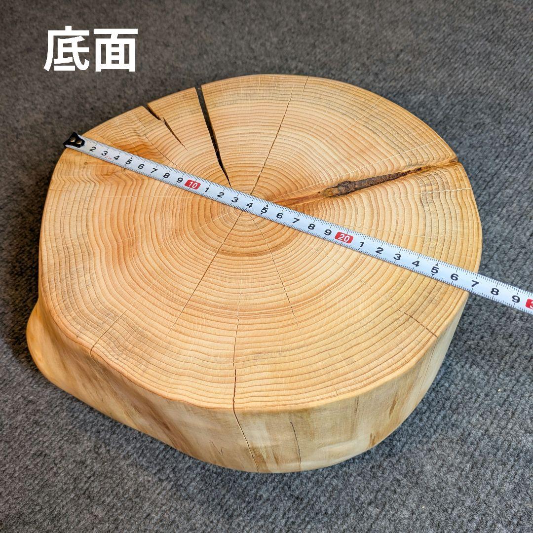 檜　丸太　輪切り　高さ約15㎝