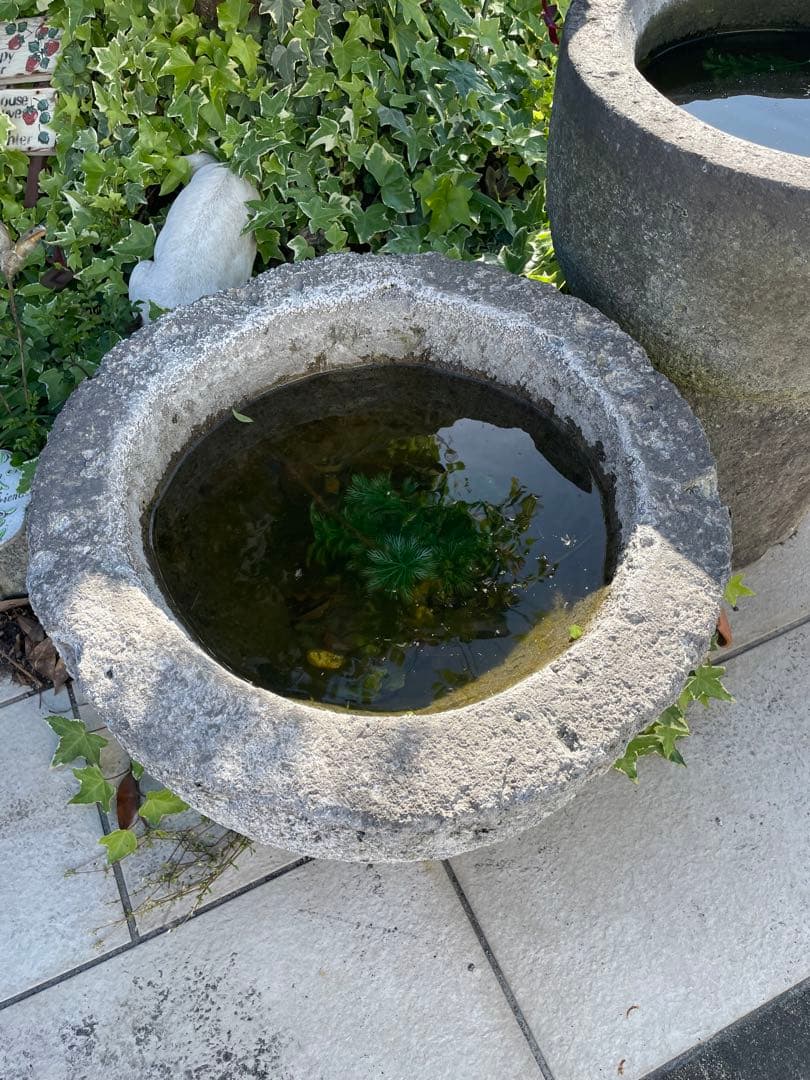 手水鉢 飛石 敷石 庭石 御影石 国産 和風 作庭 オーナメント 灯篭 日本庭園