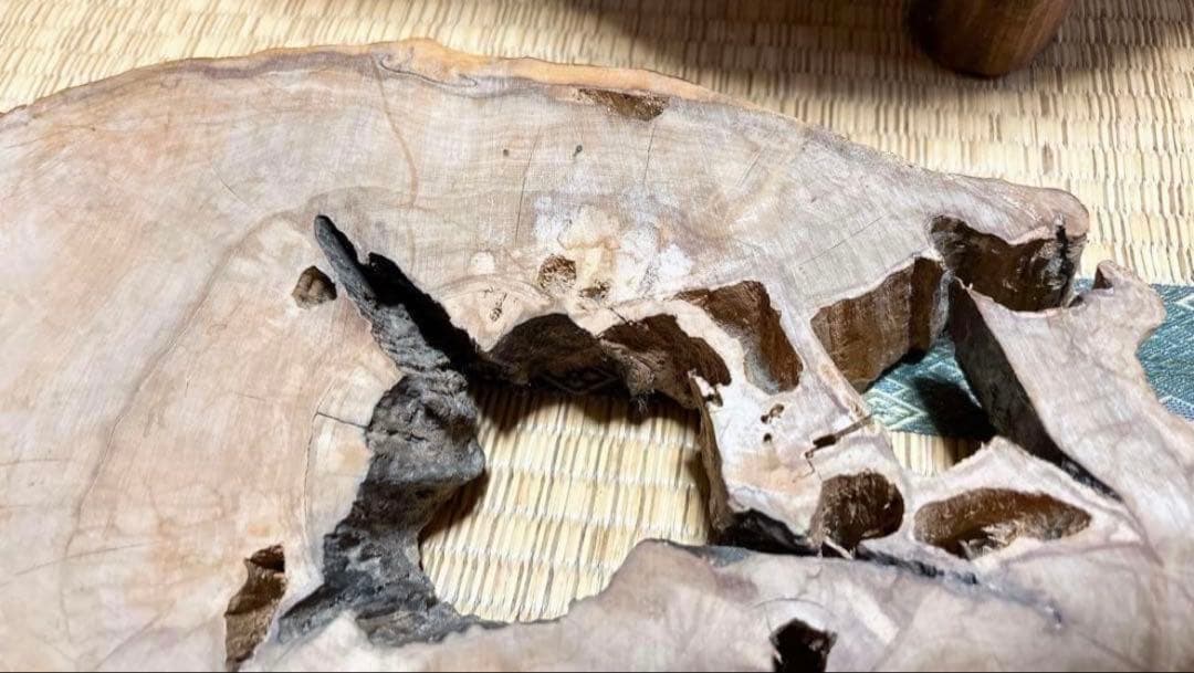 屋久杉ミニテーブル レア 貴重 希少