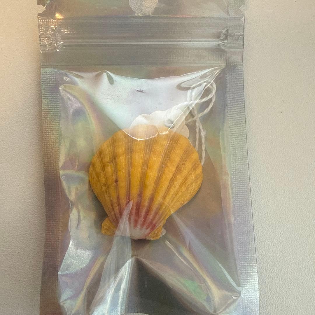 ハンドメイド シェルピアス カラフル