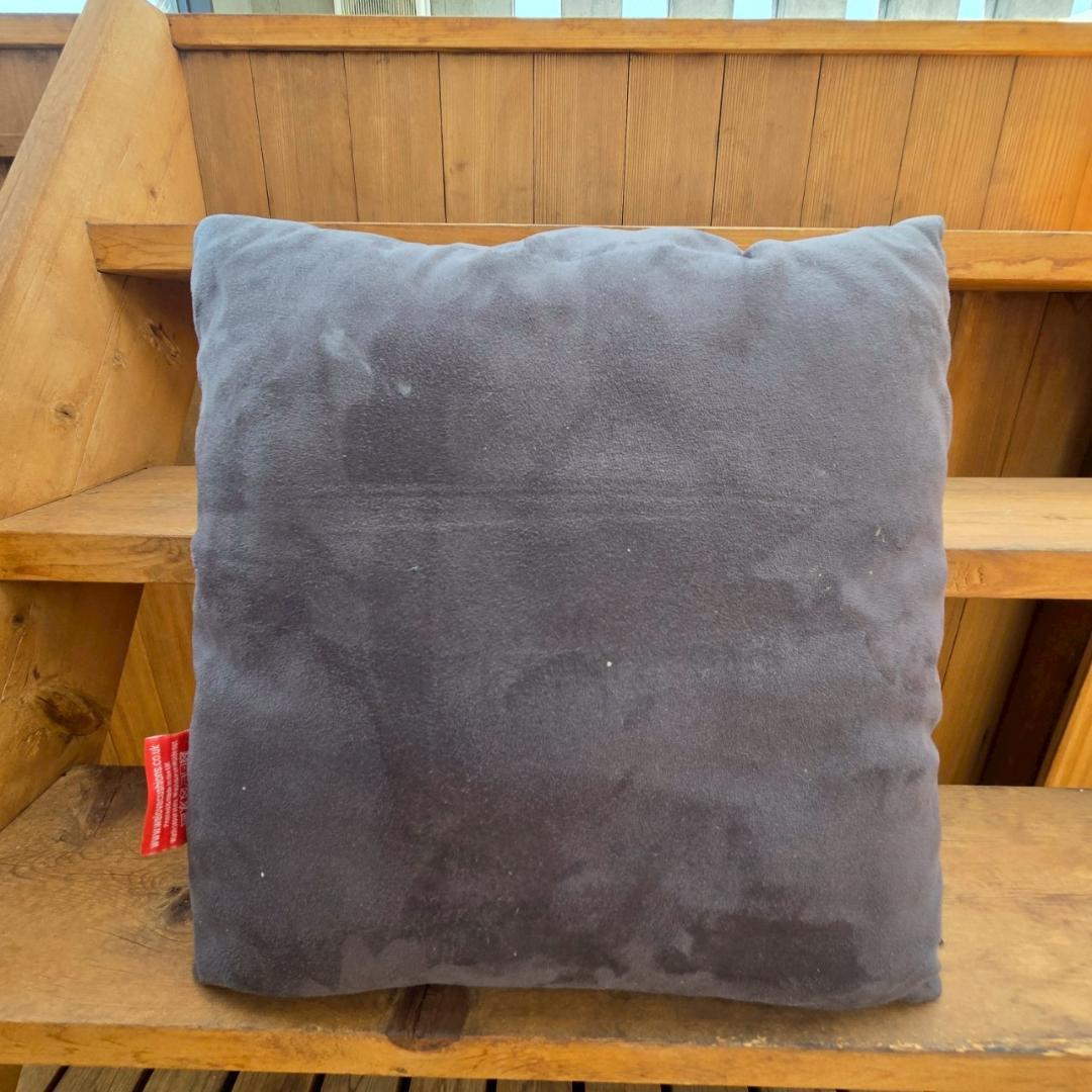 PETS ROCK　UK製 オードリーヘップバーン 猫 クッション