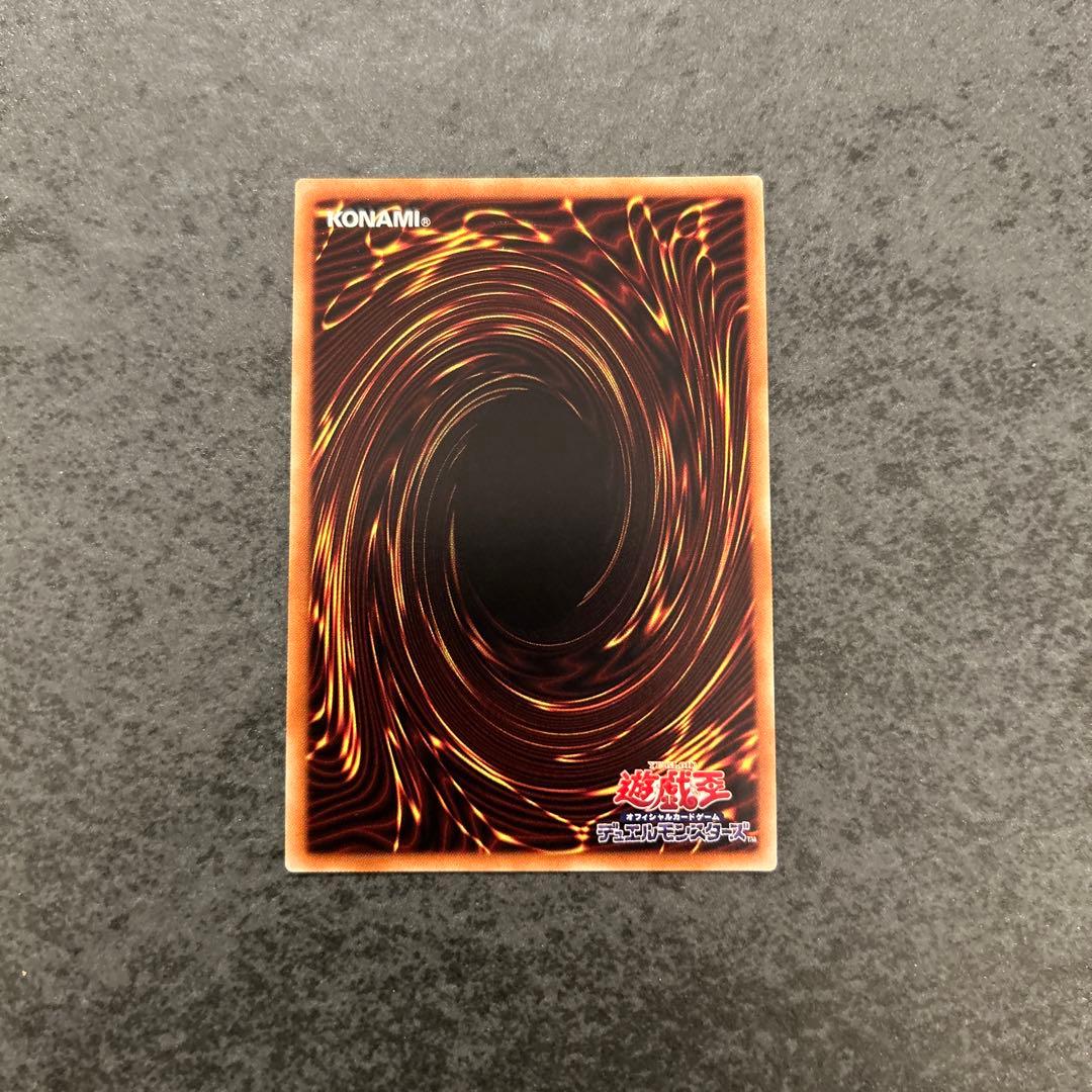 遊戯王 真紅眼の亜黒竜 レッドアイズオルタナティブブラックドラゴン