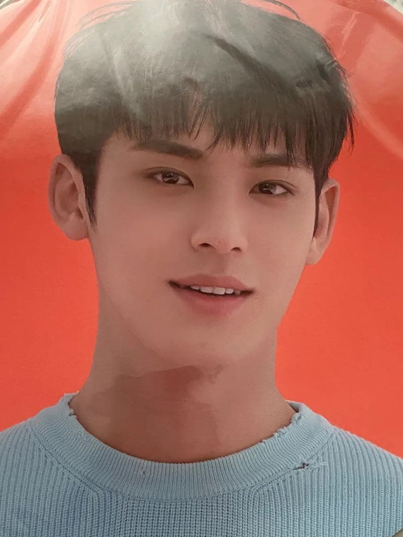 SEVENTEEN セブンティーン セブチ ミンギュ うちわ 団扇 セット