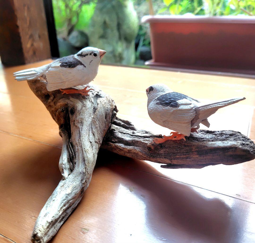 小さなバードカービング ジュウシマツ 野鳥 木彫り - メルカリ
