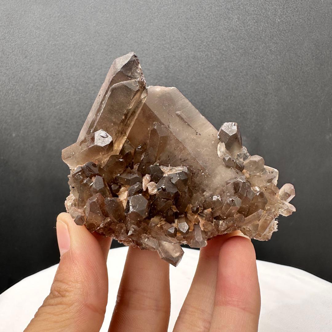 Borders様 リクエスト 5点 まとめ商品 - メルカリ