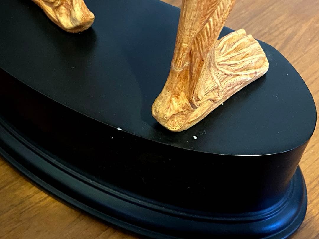 大型 アナトミーフィギュア 片桐裕司 - メルカリ